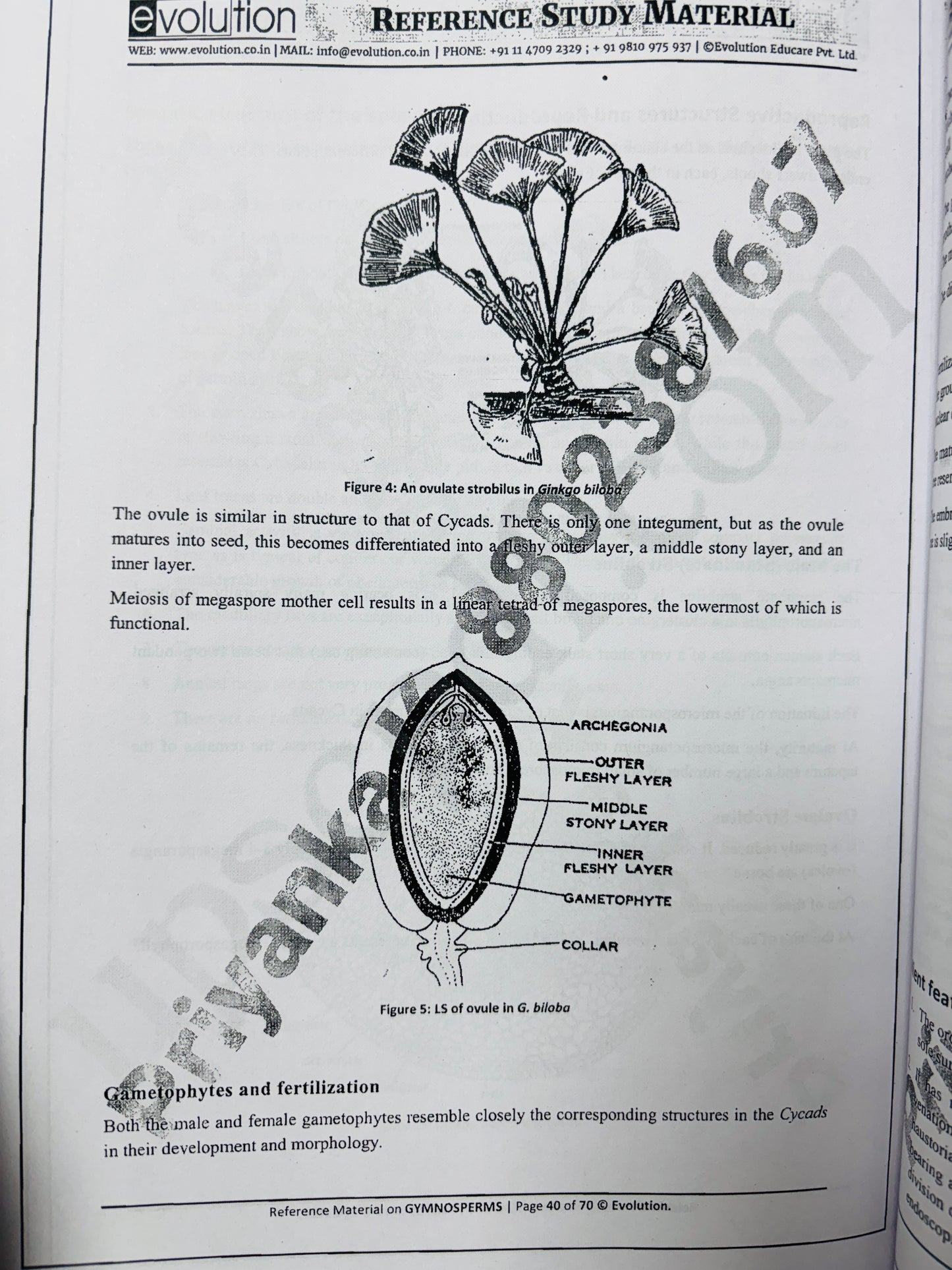 Evolution Botany Optional Notes | Best Botany Optional Notes for UPSC | 15 Booklets - English
