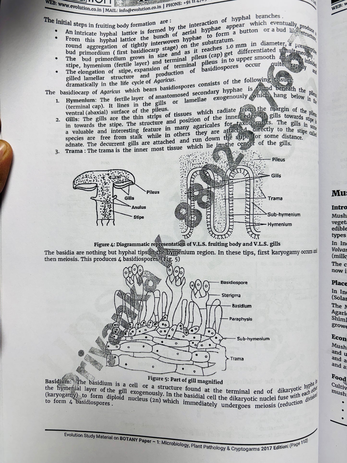 Evolution Botany Optional Notes | Best Botany Optional Notes for UPSC | 15 Booklets - English