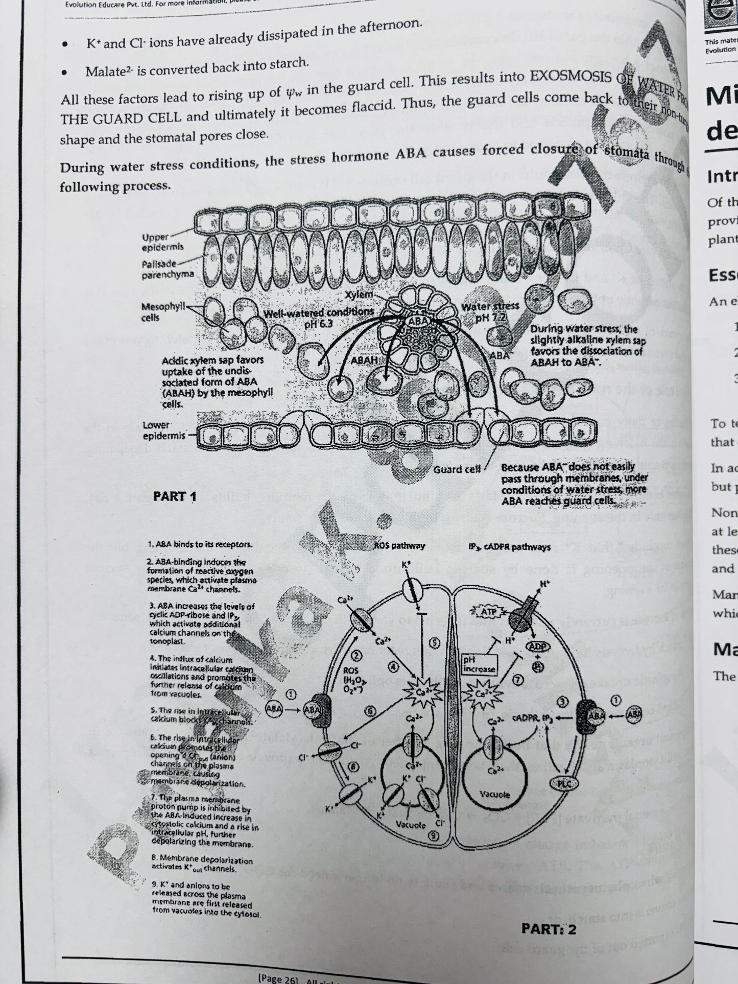 Evolution Botany Optional Notes | Best Botany Optional Notes for UPSC | 15 Booklets - English
