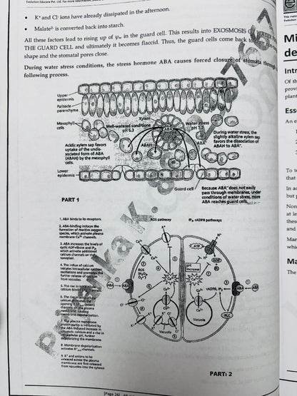Evolution Botany Optional Notes | Best Botany Optional Notes for UPSC | 15 Booklets - English
