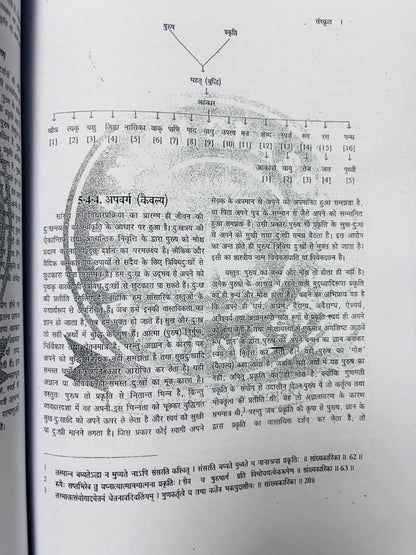 UPSC Sanskrit Optional Notes | Sanskrit Literature Optional Notes for UPSC | 2 Booklets