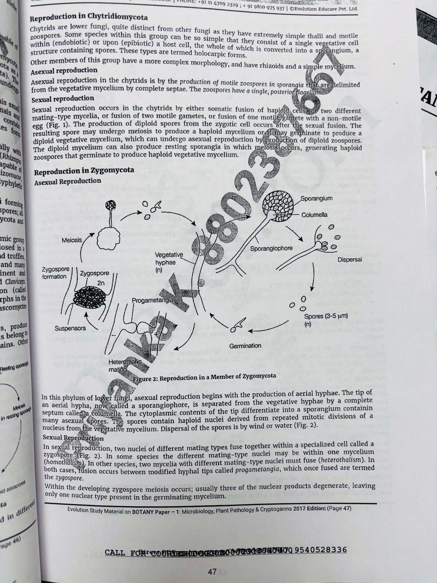 Evolution Botany Optional Notes | Best Botany Optional Notes for UPSC | 15 Booklets - English