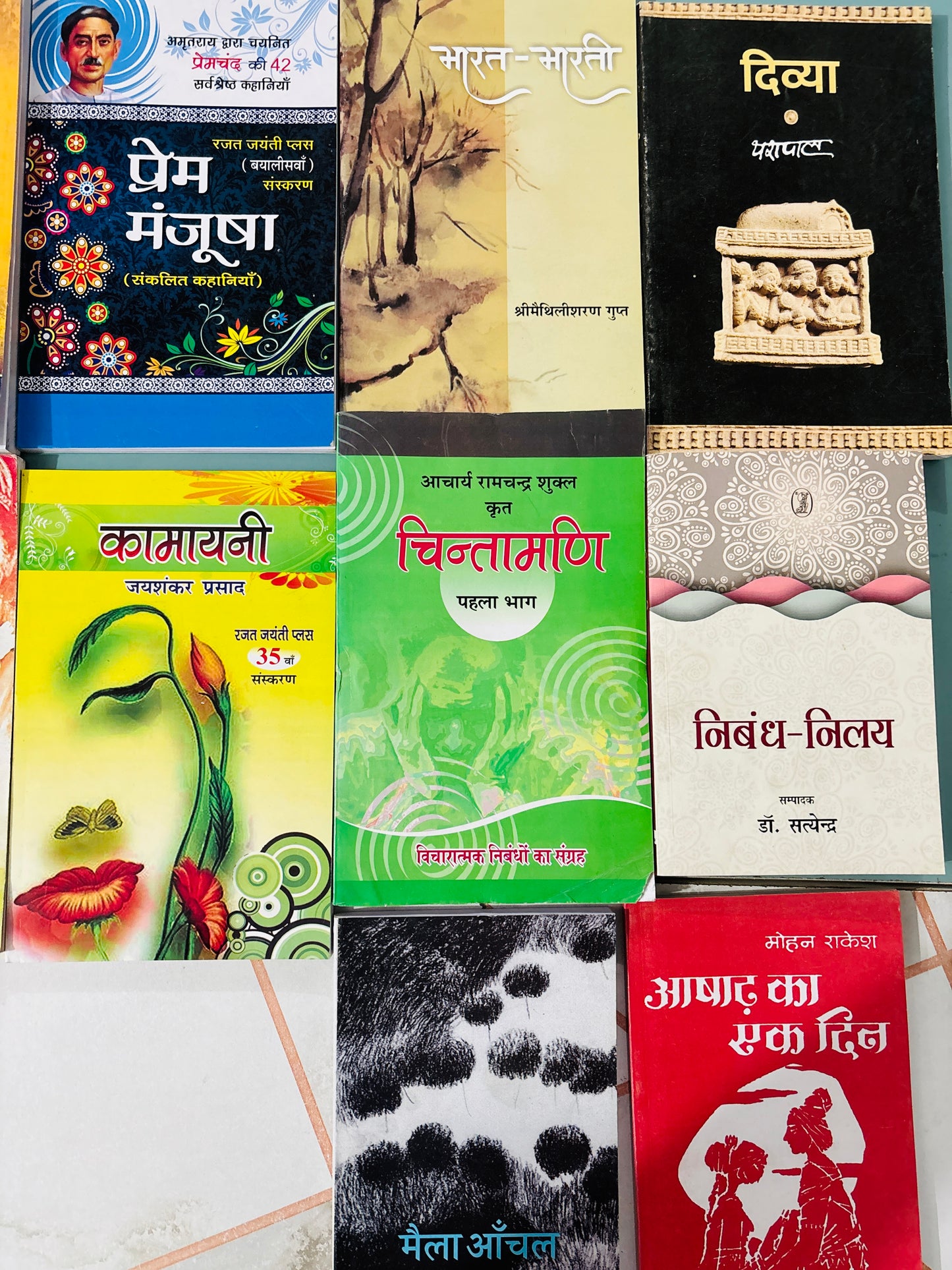 UPSC IAS Hindi Sahitya Optional Booklist | Recommended by Vikas Sir (14 Books Set) | Hindi Literature Optional Books for UPSC